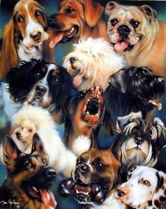 Collage of Dogs Breeds Cute Animal Kids Room Wall Decor Art Print Picture (8x10) Collage of Dogs Breeds Cute Animal Kids Room Wall Decor Art Print Picture (8x10)