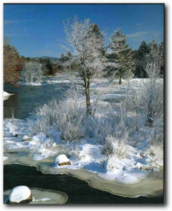 Yosemite National Park Snow River and Trees Scenery Landscape Wall Decor Art Print Picture (16x20) Yosemite National Park Snow River and Trees Scenery Landscape Wall Decor Art Print Picture (16x20)