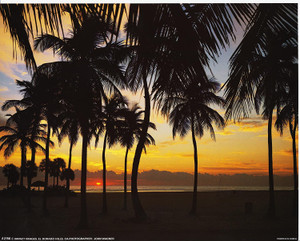Tropical Beach Sunset Palm Tree Nature Scenery Wall Decor Art Print Picture (16x20) Tropical Beach Sunset Palm Tree Nature Scenery Wall Decor Art Print Picture (16x20)