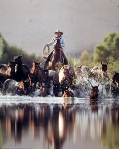 Cowboy Roundup Horses Old West Western Wall Decor Picture Art Print (16x20) Cowboy Roundup Horses Old West Western Wall Decor Picture Art Print (16x20)