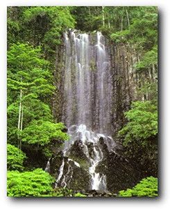 Waterfall Wall Decor Mountain Scenery Landscape Art Print Poster (16x20) Waterfall Wall Decor Mountain Scenery Landscape Art Print Poster (16x20)