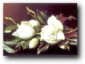 White Magnolia Flower Floral Art Print Poster (24x36) White Magnolia Flower Floral Art Print Poster (24x36)