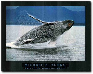 Picture Wall Decor Breaching Humpback Whale Ocean Art Print Poster (22x28) Picture Wall Decor Breaching Humpback Whale Ocean Art Print Poster (22x28)