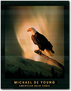 Picture Wall Decoration American Bald Eagle Bird Art Print Poster (22x28) Picture Wall Decoration American Bald Eagle Bird Art Print Poster (22x28)
