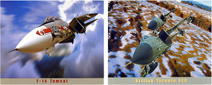Wall Decoration - Panavia Tornado Variable Sweep Wing Combat Aircraft Picture 16x20 Two Set Art Print Poster Wall Decoration - Panavia Tornado Variable Sweep Wing Combat Aircraft Picture 16x20 Two Set Art Print Poster