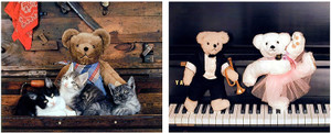 Wall Decor - Cute Teddy Bear Couple On Piano Music And Japanese Funny Cats Kids Room Picture 16x20 Two Set Art Print Poster Wall Decor - Cute Teddy Bear Couple On Piano Music And Japanese Funny Cats Kids Room Picture 16x20 Two Set Art Print Poster