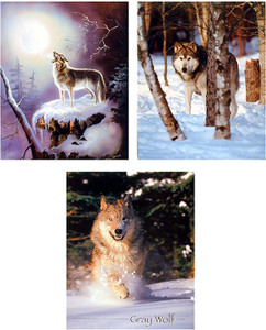 Wildlife Animal Wall Decor Snow Wolf Picture Indian Warrior Three Set 16x20 Art Print Posters Wildlife Animal Wall Decor Snow Wolf Picture Indian Warrior Three Set 16x20 Art Print Posters