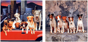  Funny Dogs Animal Wall Decor Picture 16x20 Two Set Art Print Posters