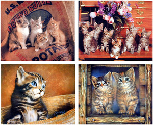 Wall Decor Picture Funny Cute Cat Animal Kid Room Four 8x10 Set Art Print Poster Wall Decor Picture Funny Cute Cat Animal Kid Room Four 8x10 Set Art Print Poster