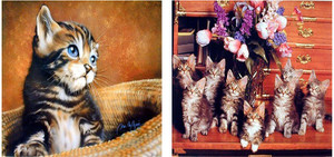 Wall Decor Cute Cat Animal Picture Two Set Art Print Poster (8x10) Wall Decor Cute Cat Animal Picture Two Set Art Print Poster (8x10)