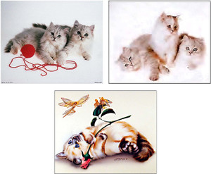 Wall Decor Art Print Funny Cute Cat Kids Room Three Set 8x10 Pictures Posters Wall Decor Art Print Funny Cute Cat Kids Room Three Set 8x10 Pictures Posters