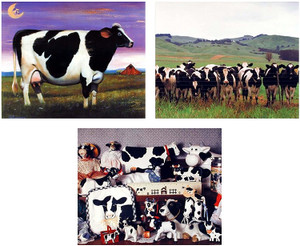  Wall Decor Picture Country Holstein Cow Dairy Farm Animal 8x10 Three Set Art Print Posters