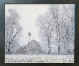 Impact Posters Gallery Fog Rural Country Barn Scenery Landscape Espresso Art Print Picture Framed Wall Decoration Picture (18x22) Impact Posters Gallery Fog Rural Country Barn Scenery Landscape Espresso Art Print Picture Framed Wall Decoration Picture (18x22)
