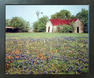 Landscape Wall Decor Old Barn & Flowers Field Scenery Expresso Framed Art Print Poster (18x22) Landscape Wall Decor Old Barn & Flowers Field Scenery Expresso Framed Art Print Poster (18x22)