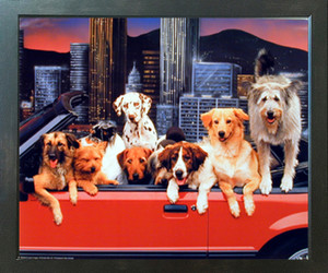 Dogs in Convertible Funny Animal Kids Room Wall Decor Picture Expresso Picture Framed Art Print Poster (18x22) Dogs in Convertible Funny Animal Kids Room Wall Decor Picture Expresso Picture Framed Art Print Poster (18x22)