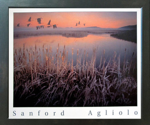 Impact Posters Gallery Geese Bird Over Marsh Wild Animal Wall Decor Expresso Framed Art Print Picture (18x22) Impact Posters Gallery Geese Bird Over Marsh Wild Animal Wall Decor Expresso Framed Art Print Picture (18x22)