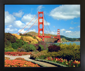 Wall Decor Golden Gate Bridge San Francisco National Park Black Framed Picture Art Print (18x22)