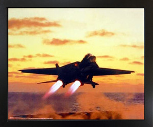 Jet Aviation US Navy Framed Wall Home Decor M F Winter F-14D Tomcat Black Art Print Poster (18x22)