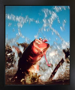 Fish Hooked Lure Bass Fishing Oak Ocean Wall Decor Black Framed Picture Art Print (18x22) Fish Hooked Lure Bass Fishing Oak Ocean Wall Decor Black Framed Picture Art Print (18x22)