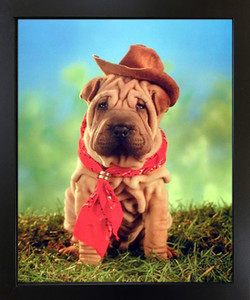 Wall Decoration Funny Chinese Shar Pei Cute Puppy Cowboy Kids Room Black Framed Picture Art Print (18x22) Wall Decoration Funny Chinese Shar Pei Cute Puppy Cowboy Kids Room Black Framed Picture Art Print (18x22)
