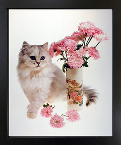 White Cute Cat and Carnations Kitten Flower Black Framed Wall Decor Art Print Picture (18x22)