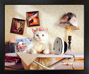Funny House Cute Cat Animal Kids Room Wall Black Framed Picture Art Print (18x22) Funny House Cute Cat Animal Kids Room Wall Black Framed Picture Art Print (18x22)