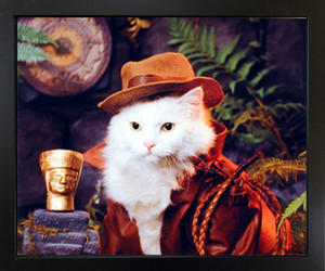 Poster Indiana Jones Cat Funny Animal Nature Kids Room Black Framed Wall Decor Picture Art Print (18x22) Poster Indiana Jones Cat Funny Animal Nature Kids Room Black Framed Wall Decor Picture Art Print (18x22)