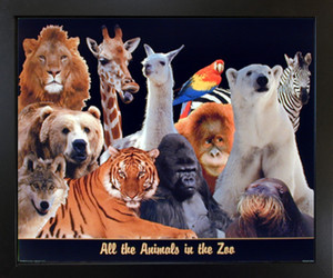 Framed Wall Decoration Zoo Animal Collage Kids Room Black framed Wall Decor Art Print Picture(18x22)