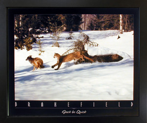 Mountain Lion Chasing Wolf in Snow Wild Animal Wall Decor Black Framed Art Print Picture (18x22) Mountain Lion Chasing Wolf in Snow Wild Animal Wall Decor Black Framed Art Print Picture (18x22)