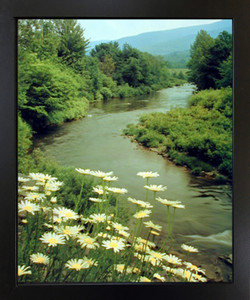 Eastern River Trees Scenic Landscape Nature Wall Decor Black Framed Picture Art Print (18x22) Eastern River Trees Scenic Landscape Nature Wall Decor Black Framed Picture Art Print (18x22)