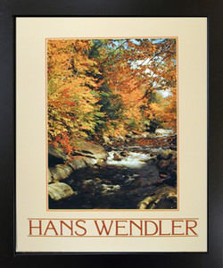 River in Forest Stream Landscape Scenery Nature Wall Decor Black Framed Picture Art Print (18x22)