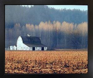 Old Barn Field and Trees Landscape Scenery Wall Decor Black Framed Picture Art Print (18x22) Old Barn Field and Trees Landscape Scenery Wall Decor Black Framed Picture Art Print (18x22)