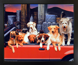 Dogs in Convertible Funny Animal Kids Room Wall Decor Picture Black Picture Framed Art Print Poster (18x22) Dogs in Convertible Funny Animal Kids Room Wall Decor Picture Black Picture Framed Art Print Poster (18x22)