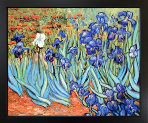 Framed Wall Decoration Vincent Van Gogh Irises Garden Flower Floral Art Print Picture (18x22) Framed Wall Decoration Vincent Van Gogh Irises Garden Flower Floral Art Print Picture (18x22)