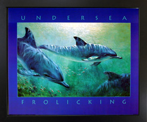 Sea Dolphin Underwater Ocean Sealife Animal Wall Decor Black Framed Art Print Picture(18x22) Sea Dolphin Underwater Ocean Sealife Animal Wall Decor Black Framed Art Print Picture(18x22)