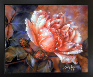 Impact Posters Gallery Wild Rose Dew Flower Fine Picture Black Art Print Framed Wall Decor Picture (18x22) Impact Posters Gallery Wild Rose Dew Flower Fine Picture Black Art Print Framed Wall Decor Picture (18x22)