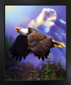 Bald Eagle Flying Wild Animal Framed Wall Decor Art Print Picture (18x22) Bald Eagle Flying Wild Animal Framed Wall Decor Art Print Picture (18x22)