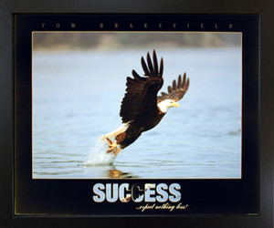 Impact Posters Gallery Bald Eagle Diving Landing Success Wildlife Animal Wall Decor Black Framed Art Print Picture Impact Posters Gallery Bald Eagle Diving Landing Success Wildlife Animal Wall Decor Black Framed Art Print Picture