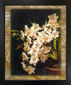 White Orchid Flowers in Vase Floral Black Framed Wall Decor Art Print Picture (18x22) White Orchid Flowers in Vase Floral Black Framed Wall Decor Art Print Picture (18x22)