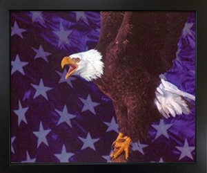 American Bald Eagle Flying Wall Decor Black Framed Art Print Picture (18x22) American Bald Eagle Flying Wall Decor Black Framed Art Print Picture (18x22)