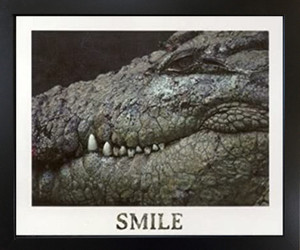 Poster of Wild Alligator Crocodile Animal Black Framed Wall Decor Art Print Picture (18x22)