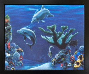 Tropical Fish & Dolphins Coral Reef Underwater Ocean Animal Black Framed Wall Decor Art Print Picture (18x22) Tropical Fish & Dolphins Coral Reef Underwater Ocean Animal Black Framed Wall Decor Art Print Picture (18x22)