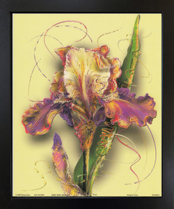 Tulip Flower Floral Fine Black Framed Wall Decor Art Print Picture (18x22) Tulip Flower Floral Fine Black Framed Wall Decor Art Print Picture (18x22)