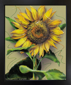 Sunflower Flower Floral Black Framed Wall Decor Art Print Picture (18x22) Sunflower Flower Floral Black Framed Wall Decor Art Print Picture (18x22)