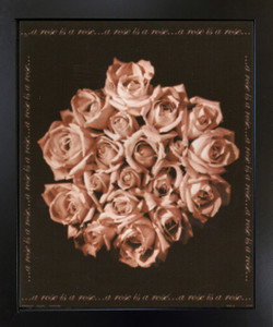 Bunch of Roses Still Life Flower Floral Wall Decor Black Framed Art Print Picture (18x22) Bunch of Roses Still Life Flower Floral Wall Decor Black Framed Art Print Picture (18x22)