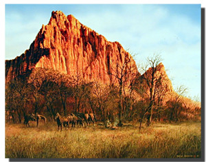 Campsite at zion national park Posters Campsite at zion national park Posters