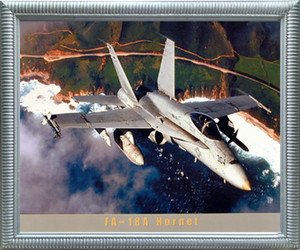 Impact Posters Gallery Aviation Poster - FA-18A Hornet Jet Military Aircraft Silver Picture Art Print Framed Wall Decor (20x24) Impact Posters Gallery Aviation Poster - FA-18A Hornet Jet Military Aircraft Silver Picture Art Print Framed Wall Decor (20x24)