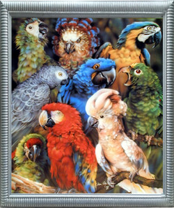 Impact Posters Gallery Collage Tropical Parrots Birds Animal Silver Art Print Framed Wall Decor (18x22) Impact Posters Gallery Collage Tropical Parrots Birds Animal Silver Art Print Framed Wall Decor (18x22)