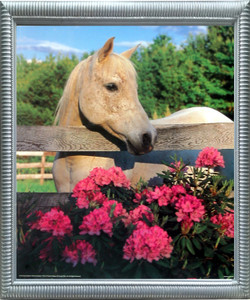 Impact Posters Gallery Mare Horse with Flowers Framed Wall Decoration White Morgan Silver Picture Art Print Impact Posters Gallery Mare Horse with Flowers Framed Wall Decoration White Morgan Silver Picture Art Print