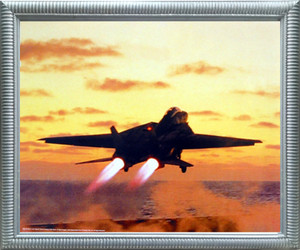 F-14D Tomcat Jet Framed Poster - US Navy M F Winter Aviation Wall Decor Silver Art Print Poster (20x24) F-14D Tomcat Jet Framed Poster - US Navy M F Winter Aviation Wall Decor Silver Art Print Poster (20x24)